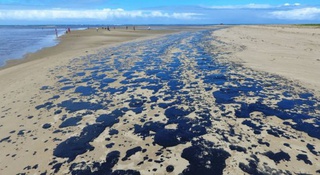 Mais de 525 toneladas de resíduos foram retiradas de praias com óleo