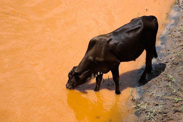 Imagem do Rio Gualaxo do Norte dois anos após o rompimento da Barragem de Fundão, da mineradora Samarco