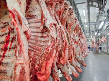 Em janeiro de 2020 o índice deve ficar em 0,53%, proteja BC