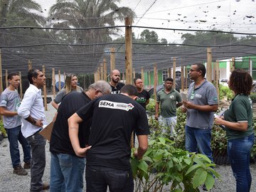 Fiscalização das mudas do Programa Maranhão Verde