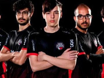 Formação da RED Canids utilizada contra a paiN