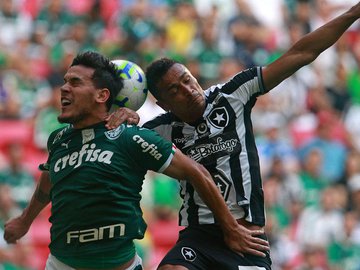 Botafogo encara Palmeiras no Nilton Santos