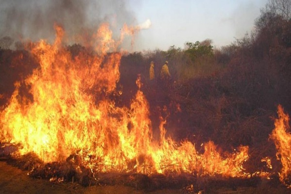 Com focos há quase um mês, Canto do Buriti lidera ranking de queimadas no Piauí