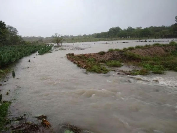 Em quatro dias Paulistana ultrapassa volume de chuva para o mês inteiro