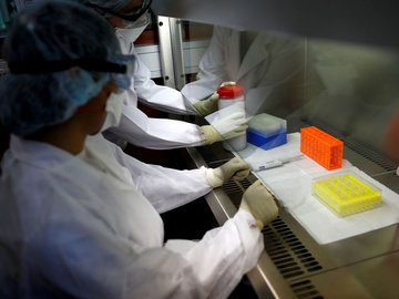 Governo informou que há 41.204 casos confirmados