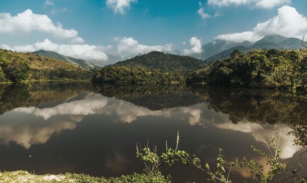 Objetivo é não interromper trabalho de educação ambiental