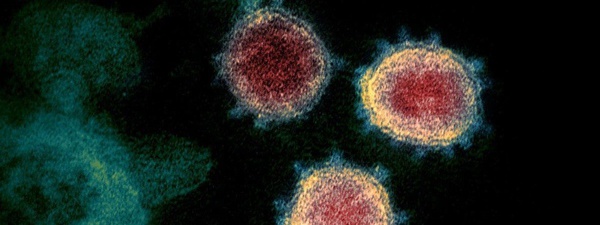 SP registra primeiros casos da nova variante do coronavírus