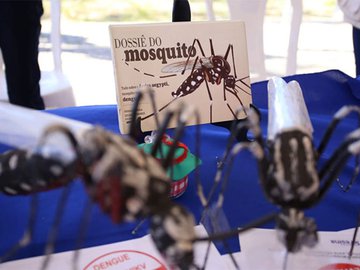 Aumento de casos de dengue no Piauí