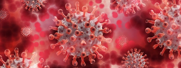 A proteína Nsp1 pode ser a chave para o desenvolvimento de um tratamento da covid-19