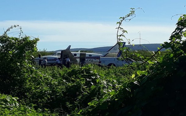 Avião com vacinas contra covid-19 bate em jumento na Bahia
