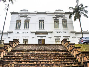 Instituto Butantan