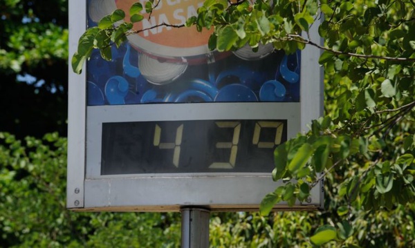 Temperaturas altas podem tornar a vida nos trópicos insustentável