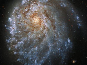 A galáxia NGC 2276 sofre a influência de gás aquecido e de uma vizinha galáctica próxima