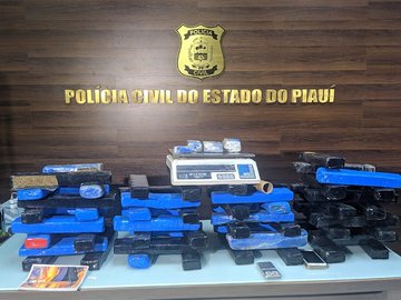 Polícia apreende 62 tabletes de maconha avaliados em R$ 120 mil em Teresina