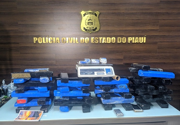 Polícia apreende 62 tabletes de maconha avaliados em R$ 120 mil em Teresina