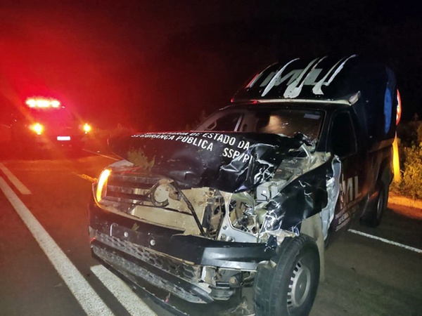 Viatura do IML fica destruída após atropelar animais na BR-343 em Buriti dos Lopes