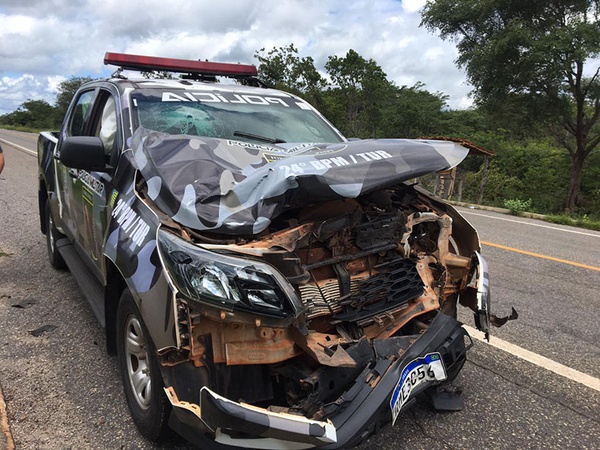 Viatura da PM fica destruída após colidir com animal na BR-343 em Piracuruca