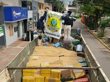 Policiais rodoviários recolhem 16,1 toneladas da droga