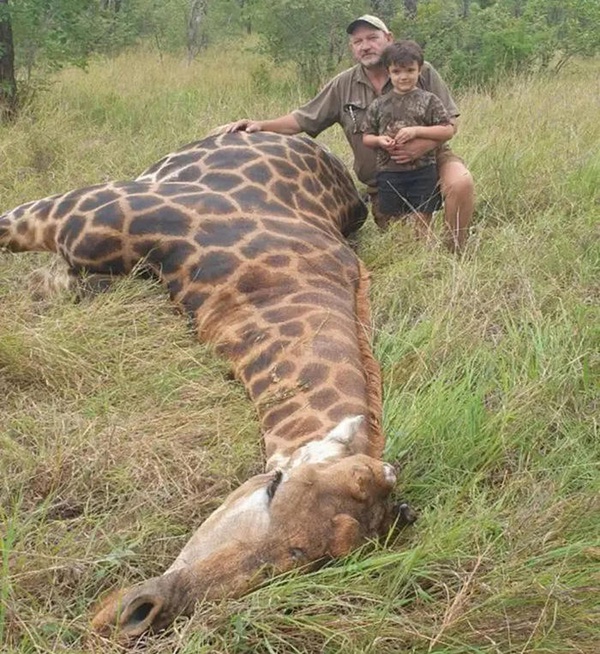 Caçador de leões e elefantes é assassinado a tiros na África do Sul