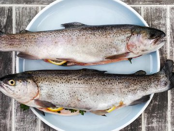 Estudo mostra relação entre consumo de peixes e maior risco de câncer