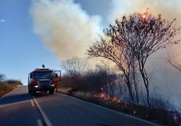 Focos de queimadas crescem 44% e Piauí ocupa 2ª colocação no Nordeste