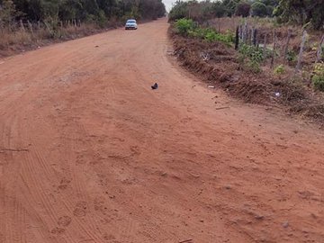 Homem é assassinado a tiros em povoado na zona rural de Teresina