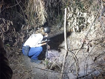 Ossada humana é encontrada carbonizada em cova na zona Norte de Teresina