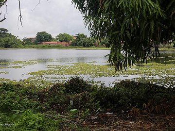 Corpo de homem é encontrado com órgãos genitais decepados em lagoa