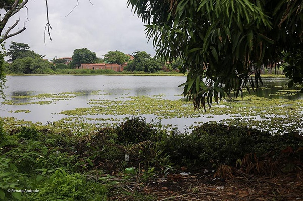 Corpo de homem é encontrado com órgãos genitais decepados em lagoa