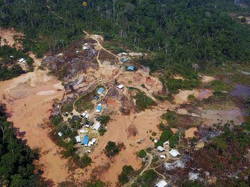 Maioria do ouro vendido no país em 2021 tinha indício de ilegalidade