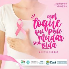 Serão ofertadas 150 consultas com mastologista; 104 cirurgias mamárias, 750 exames de mamografia e 150 ultrassons mamárias