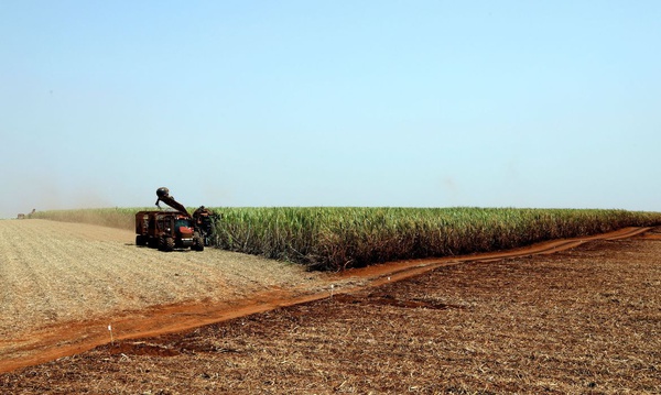 Entre os conceitos adotados no ABC+, está o da Abordagem Integrada da Paisagem (AIP), que prevê a gestão integrada da propriedade rural.