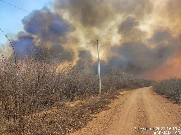 Piauí tem 85 cidades com queimadas; chamas chegam a parques nacionais