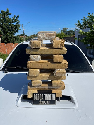 Polícia apreende 20 kg de maconha em residência na zona Sul de Teresina