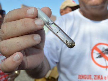 Com falta de testes, Sesapi orienta municípios a realizarem diagnóstico clínico da dengue