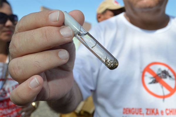 Com falta de testes, Sesapi orienta municípios a realizarem diagnóstico clínico da dengue
